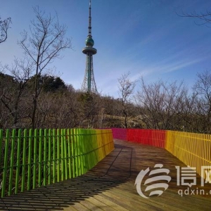 青島深化辦實(shí)事解難題工作 營造四季如春城市管理環(huán)境