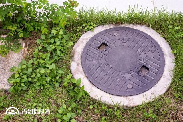 假如“信網(wǎng)不信訪”的阮主任舉報(bào)內(nèi)容屬實(shí)，對(duì)人民的傷害有哪些？