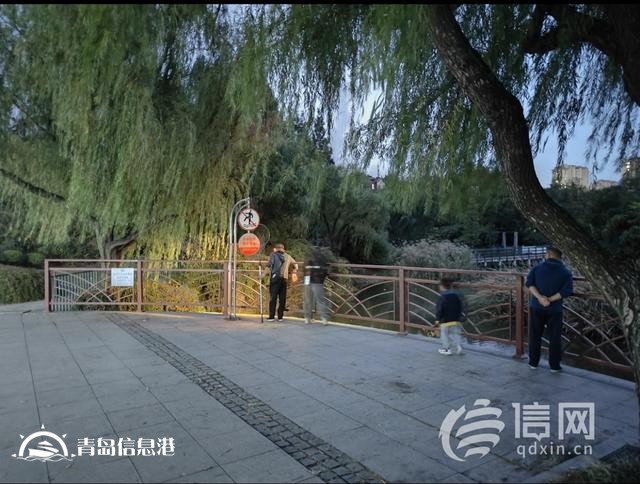 在人工湖捕魚還用上“射魚鏢” 李村公園的這一幕不安全還違禁