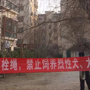牽好“安全繩”！李園街道綜合行政執(zhí)法中隊持續(xù)開展文明養(yǎng)犬專項整治行動 ...