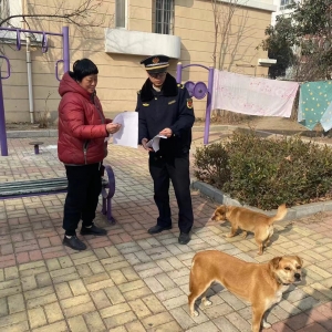 同和執(zhí)法中隊開展“文明養(yǎng)犬”執(zhí)法巡查工作 促進“人犬和諧共處” ...