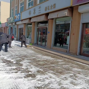 南村執(zhí)法中隊(duì)清掃積雪在行動(dòng)！