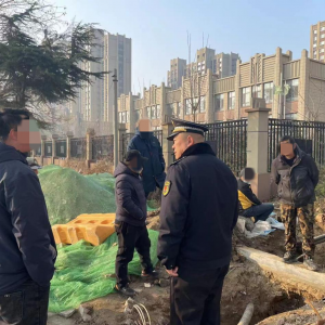 毀綠行為不可取，綜合執(zhí)法護綠色