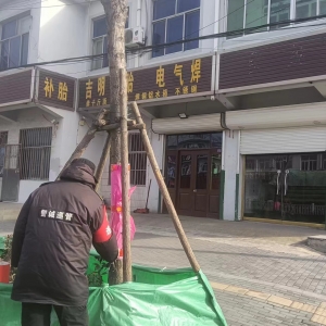南村執(zhí)法中隊精準(zhǔn)“凈顏”，助推城鎮(zhèn)品質(zhì)提升！