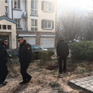 平度市東閣街道執(zhí)法中隊集中整治占綠毀綠，營造整潔、美好的人居環(huán)境 ...