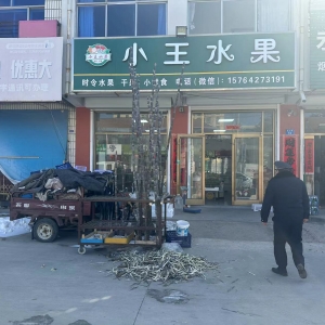 節(jié)后市容秩序整治 持續(xù)提升鎮(zhèn)容鎮(zhèn)貌