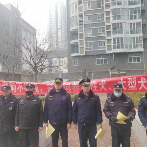 李園街道綜合行政執(zhí)法中隊(duì)：加強(qiáng)犬只管理，營(yíng)造和諧氛圍