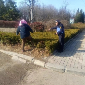同和執(zhí)法中隊(duì):“嚴(yán)格執(zhí)法，守護(hù)綠色家園”園林綠化執(zhí)法巡查工作 ...