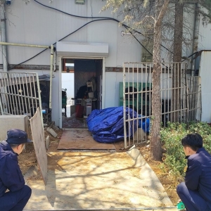平度市東閣街道執(zhí)法中隊：隨意損壞植被，罰