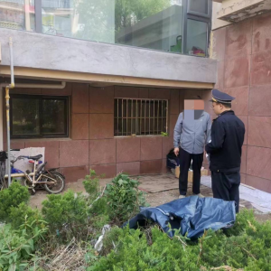 查處毀綠行為，還居民美好家園