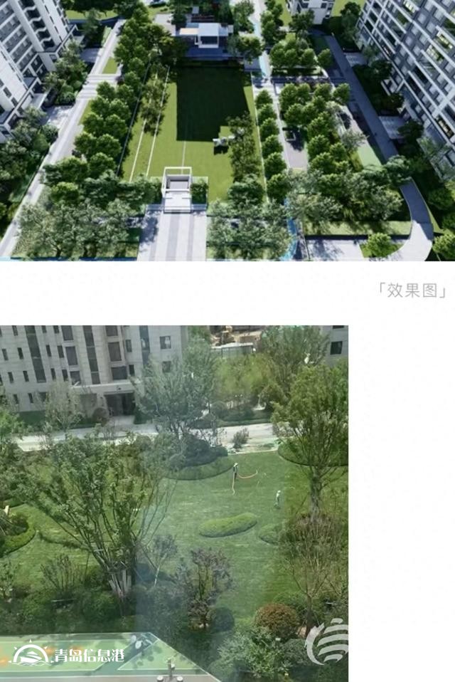 業(yè)主質疑金茂府交付標準減配 開發(fā)商將對綠化景觀提升
