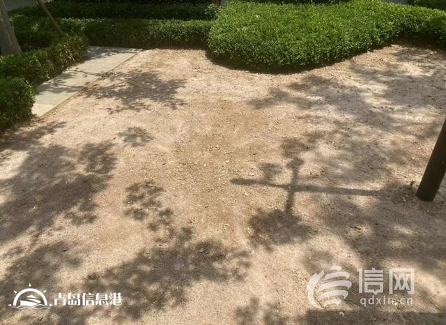 業(yè)主質疑金茂府交付標準減配 開發(fā)商將對綠化景觀提升