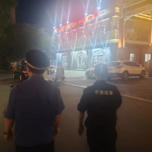 同和執(zhí)法中隊(duì)：加強(qiáng)夜間文明養(yǎng)犬執(zhí)法巡查工作，共同建設(shè)和諧社區(qū) ...