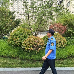 平度市東閣街道執(zhí)法中隊(duì)嚴(yán)查占綠毀綠，讓城市更美好