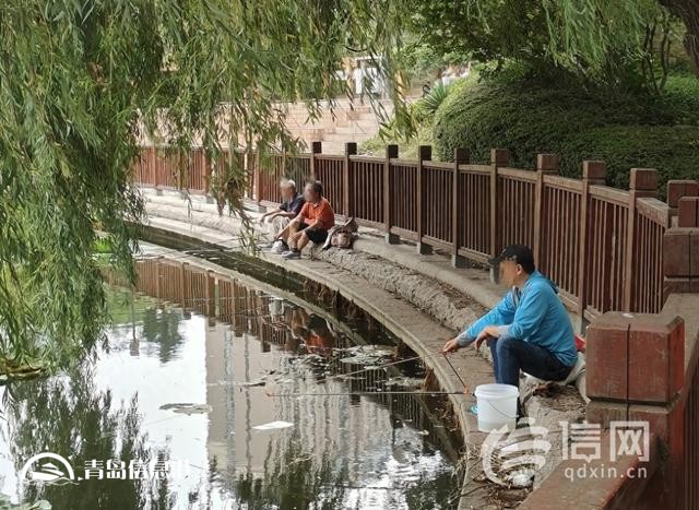 浮山后錦鯉湖欄桿破損 工作人員將加強巡視勸離垂釣者