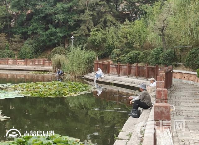 浮山后錦鯉湖欄桿破損 工作人員將加強巡視勸離垂釣者