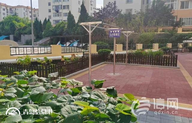 青島市北區(qū)這個街道的“城市牛皮癬”被徹底根除了