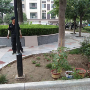 同和執(zhí)法中隊：加強(qiáng)園林綠化執(zhí)法巡查，守護(hù)城市綠色空間