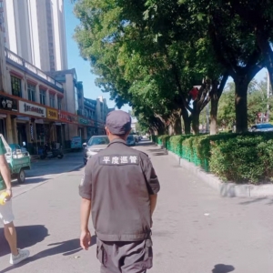 同和執(zhí)法中隊園林綠化執(zhí)法巡查工作：繪就城市綠色畫卷