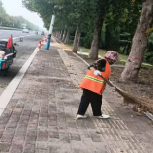 全面清理落葉，確保道路干凈整潔