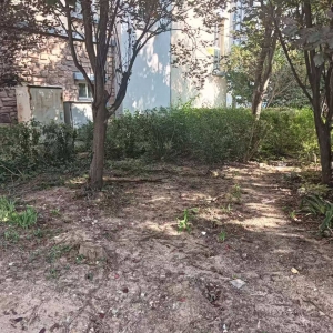 平度市東閣街道執(zhí)法中隊(duì)整治占綠毀綠，守護(hù)城市綠色空間