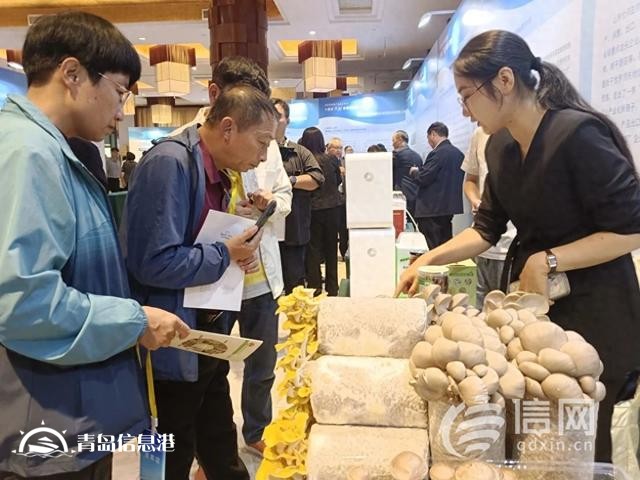 新品種新技術(shù) 國家食用菌產(chǎn)業(yè)技術(shù)體系“三新”交流會在萊西舉辦