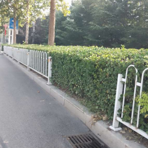 同和執(zhí)法中隊市政公用巡查：守護城市之美