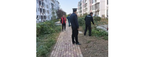 李園街道綜合行政執(zhí)法中隊：對侵占綠地種菜行為說“不”！ ...