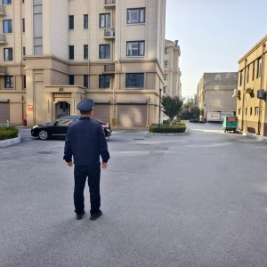 同和執(zhí)法中隊園林綠化執(zhí)法巡查：守護(hù)轄區(qū)的綠色