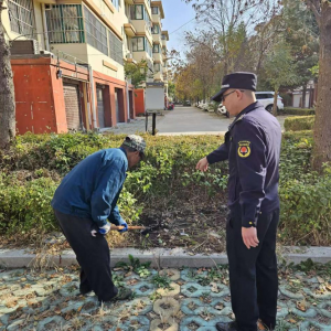 整治擅自破壞綠化行為，共建綠色家園