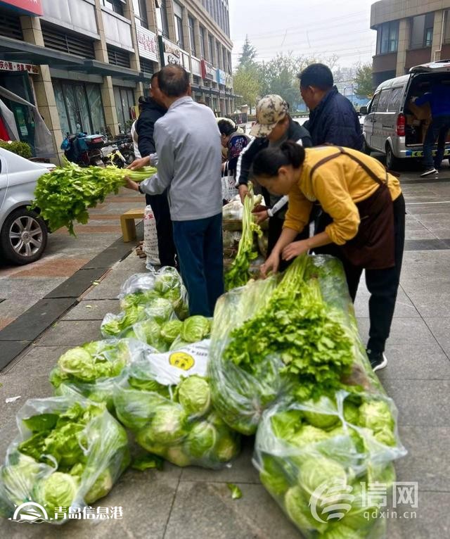 “信新市集”走進(jìn)周口路社區(qū) 平價蔬菜琳瑯滿目居民樂享“煙火氣”