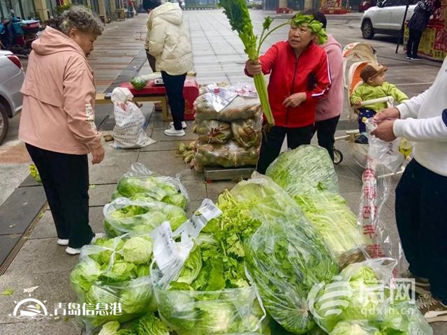“信新市集”走進(jìn)周口路社區(qū) 平價蔬菜琳瑯滿目居民樂享“煙火氣”