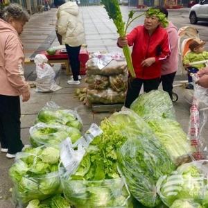 “信新市集”走進(jìn)周口路社區(qū) 平價蔬菜琳瑯滿目居民樂享“煙火氣”