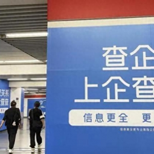 IPO觀察丨企查查沖擊資本市場(chǎng)，商業(yè)查詢是門(mén)好生意嗎
