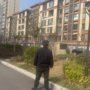 平度市東閣街道執(zhí)法中隊(duì)緊盯群眾“急難愁盼”，集中整治占綠毀綠 ...