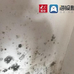 插座漏水墻皮脫落，領(lǐng)秀珊瑚灣新房質(zhì)量堪憂