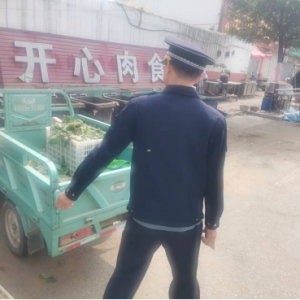 云山中隊(duì)黨支部：冬季出擊，筑牢戶外廣告設(shè)施 “安全墻”