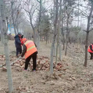 及時清理路面積土，營造干凈整潔的宜居環(huán)境