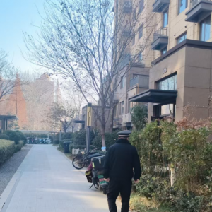 平度市東閣街道執(zhí)法中隊嚴打占綠毀綠，共建綠色家園