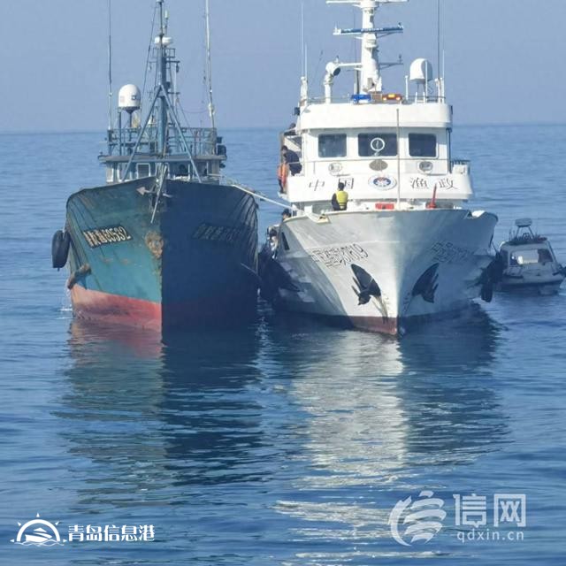 青島市海洋局開展海陸聯(lián)動執(zhí)法 嚴(yán)查涉漁領(lǐng)域違法行為