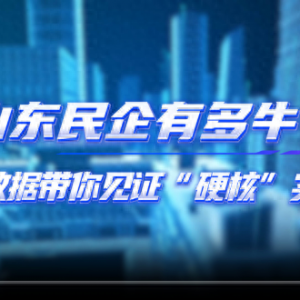 山東民企有多牛？一組數(shù)據(jù)帶你見(jiàn)證“硬核”實(shí)力