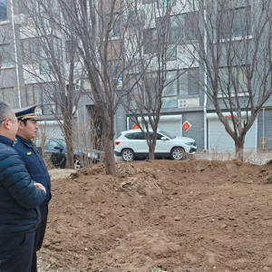 平度市東閣街道執(zhí)法中隊(duì)“信用+”整治占綠毀綠，守護(hù)綠色家園 ...