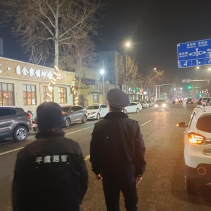 同和中隊:靜夜守護，噪音污染夜間執(zhí)法行動