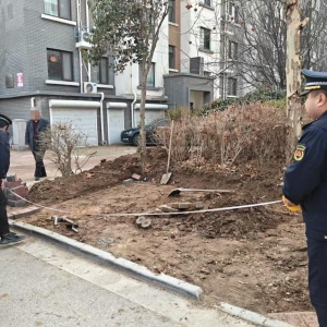 平度市東閣街道執(zhí)法中隊整治占綠毀綠，筑牢城市生態(tài)屏障