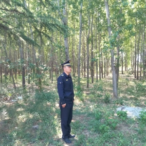 同和中隊(duì)：春風(fēng)里的護(hù)花使者，執(zhí)法巡查守護(hù)春日綠意
