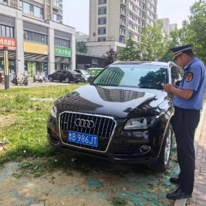 守護城市公共綠地 鳳臺執(zhí)法中隊整治占綠停車現(xiàn)象