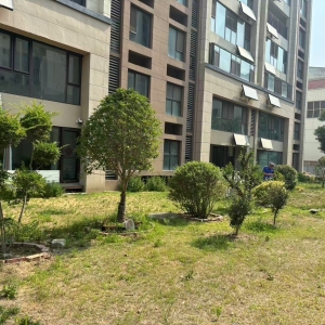 同和中隊(duì)：以鐵腕執(zhí)法守護(hù)城市綠脈，讓生態(tài)之美永駐人間